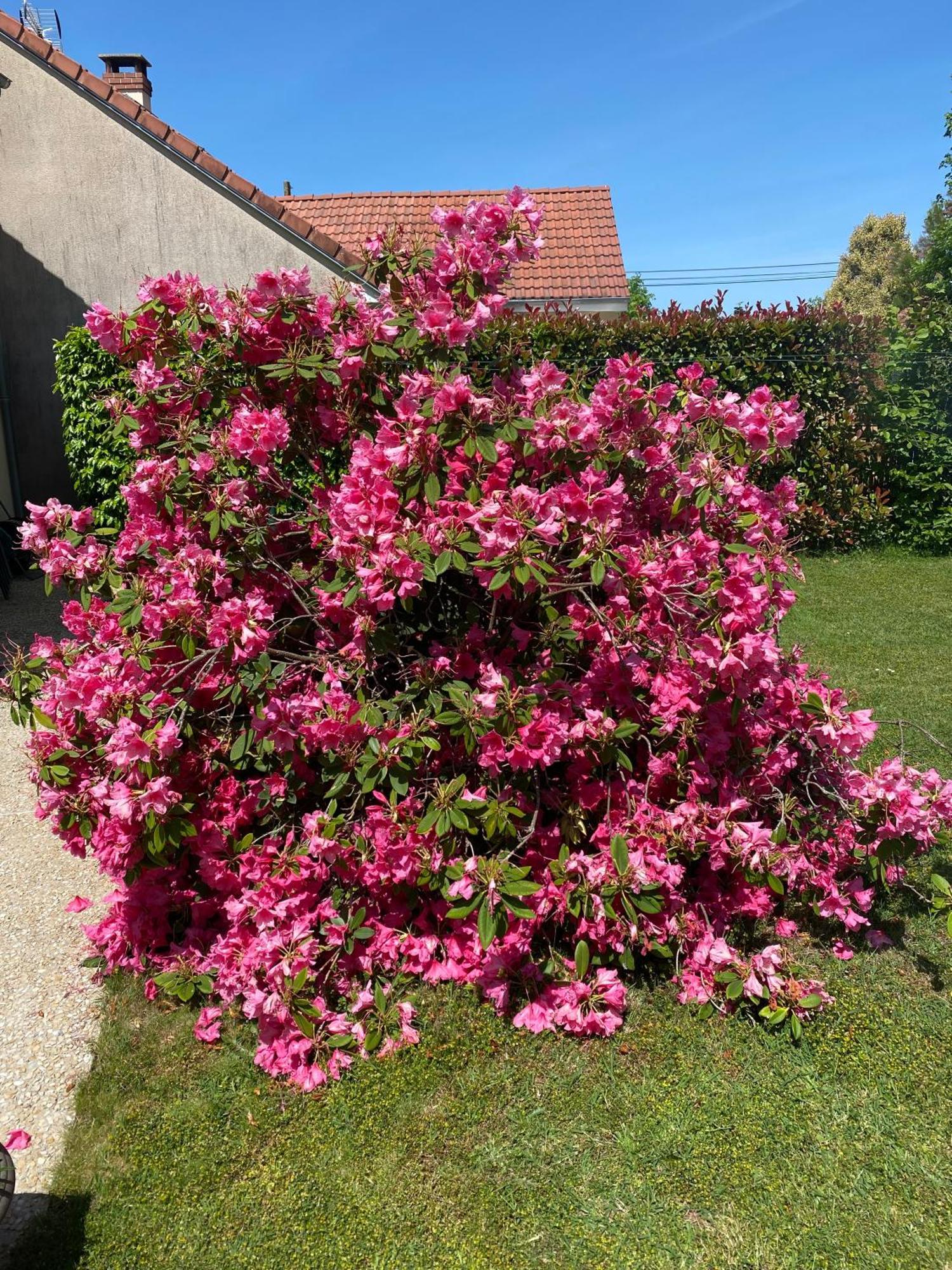 Le Petitepinay Bed & Breakfast Moitron-sur-Sarthe Eksteriør bilde